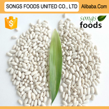 Dry White Kidney Beans Competitive Price